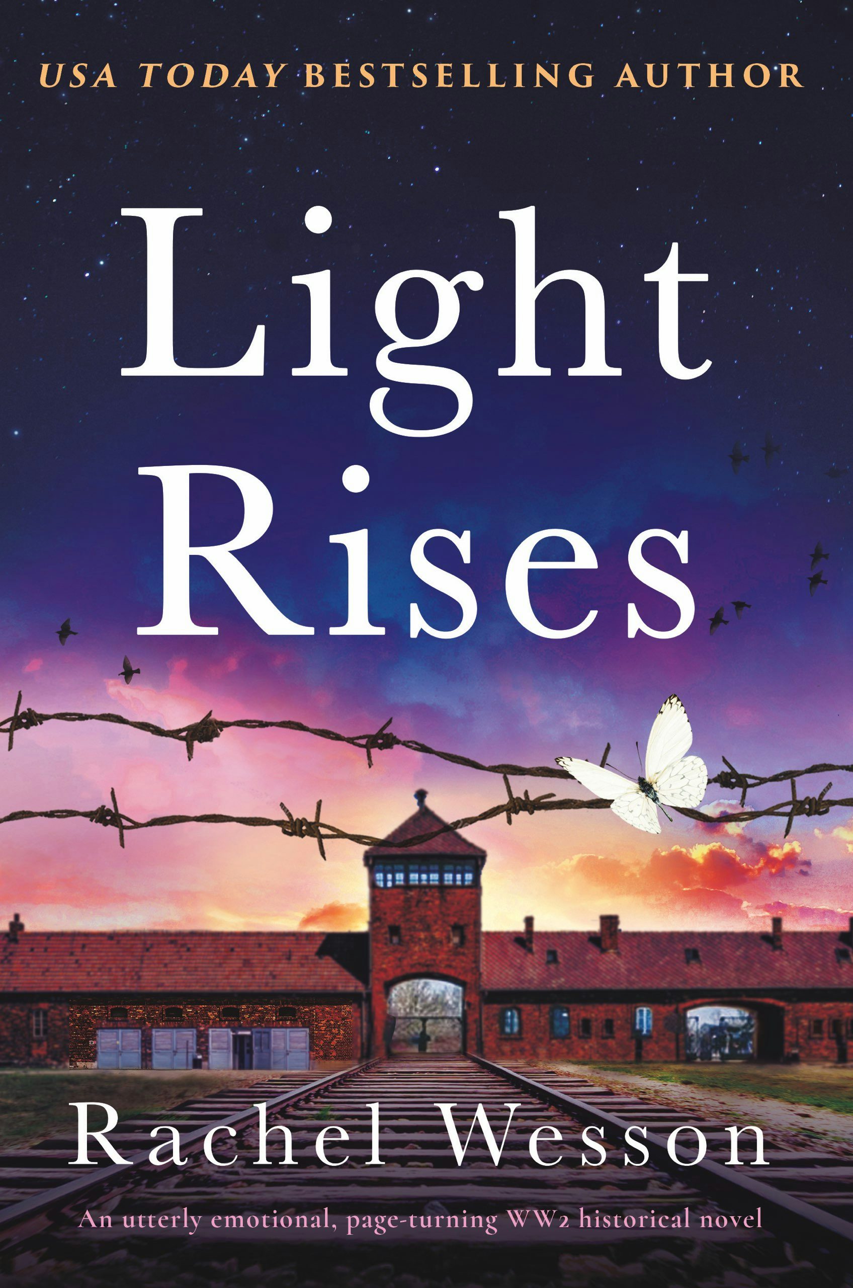 Book cover image for Light Rises ISBN: 9781805081326